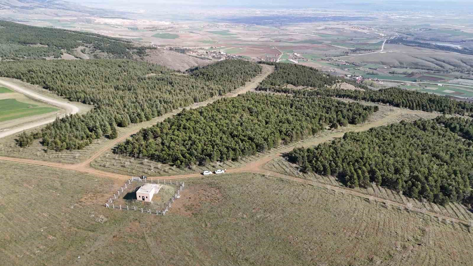 Vahşi cinayet zanlısı önce boğmuş sonra 2 gün art arda yakmış
Vahşi cinayet zanlısı önce boğmuş sonra 2 gün art arda yakmış