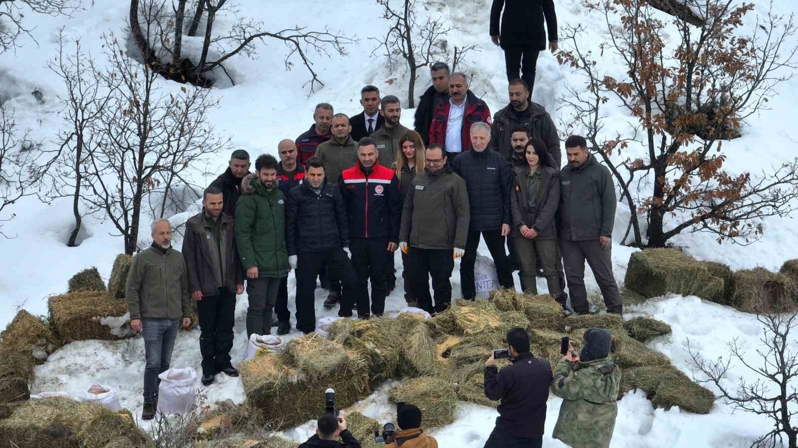 Vali Aygöl, yaban hayvanları için sahada
