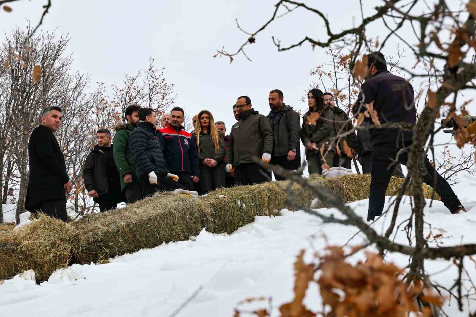 Vali Aygöl, yaban hayvanları için sahada
