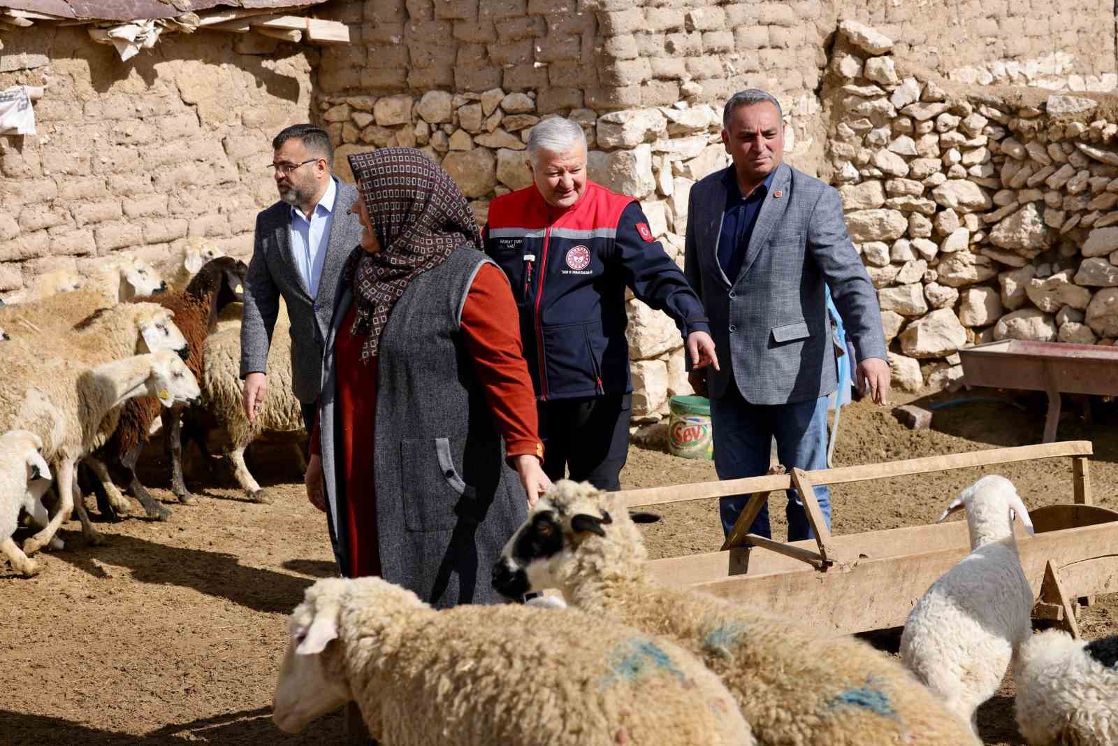 Vali Duru: "1,5 milyarlık finansmanla 125 bin küçükbaş hayvan alımı yapılacak"
