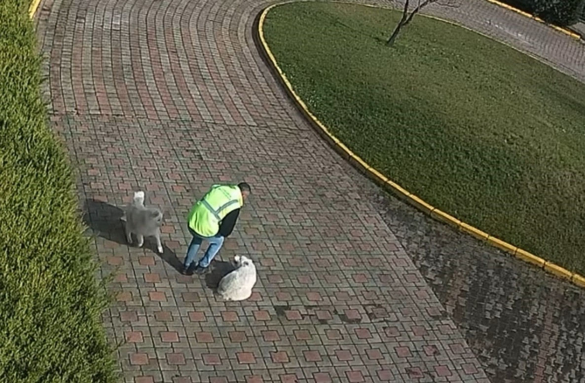 Valilik Konağı’ndaki "köpek ölümü" olayının görüntüleri ortaya çıktı
