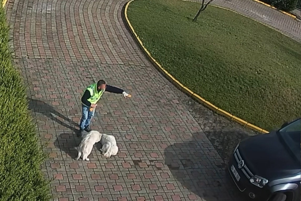 Valilik Konağı’ndaki "köpek ölümü" olayının görüntüleri ortaya çıktı
