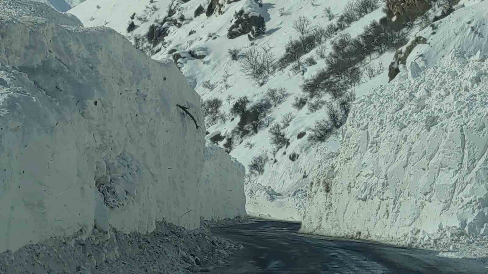 Van-Çatak yolu kontrollü olarak ulaşıma açıldı
