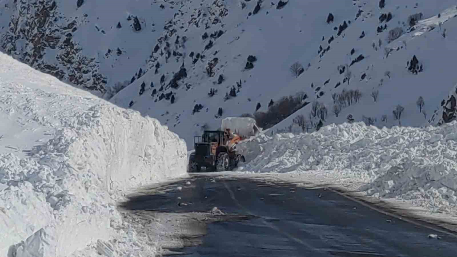 Van-Çatak yolu kontrollü olarak ulaşıma açıldı
