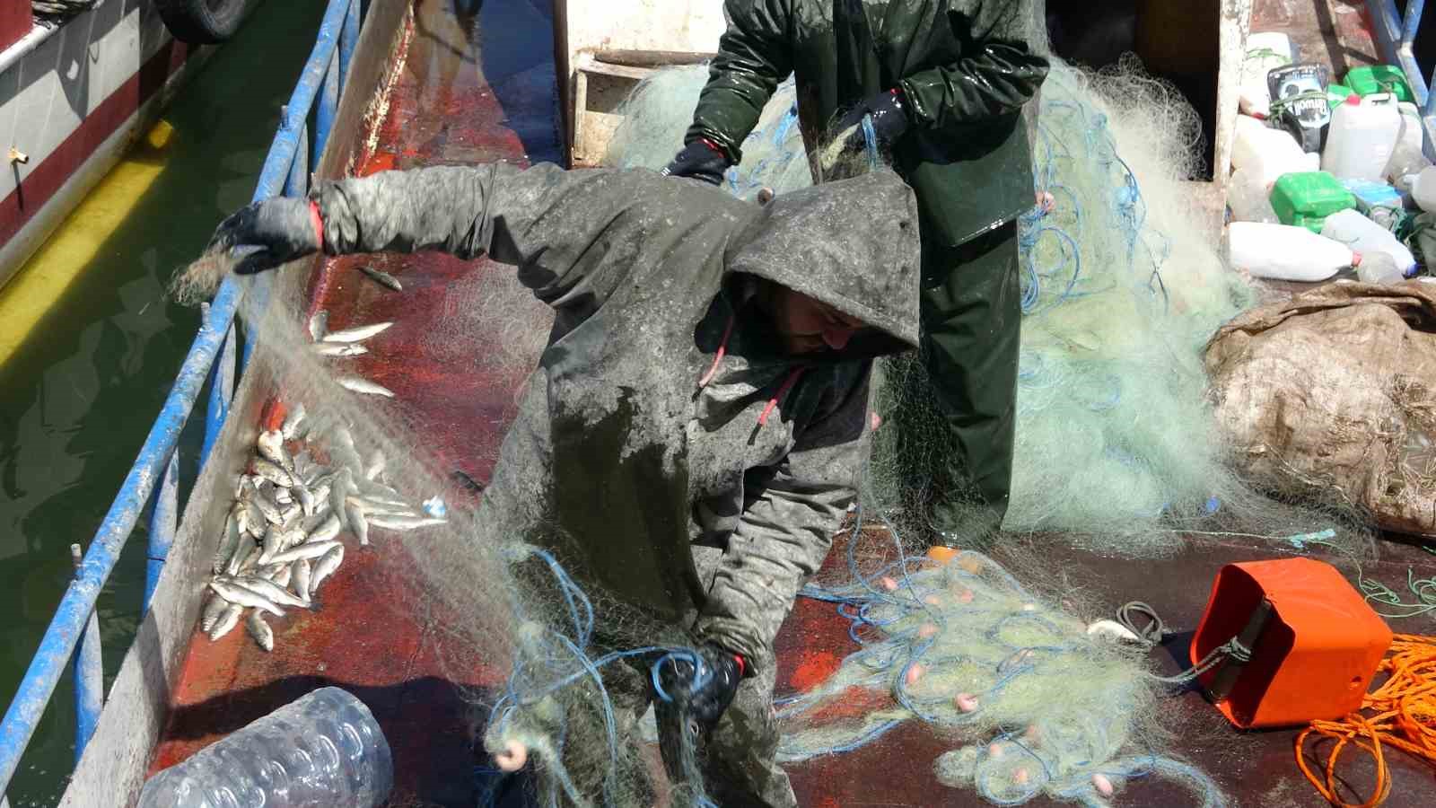 Van Gölü’nde inci kefali için av yasağı: Kaçak avlanmanın cezası 16 bin TL
Van Gölü’nde inci kefali için av yasağı: Kaçak avlanmanın cezası 16 bin TL