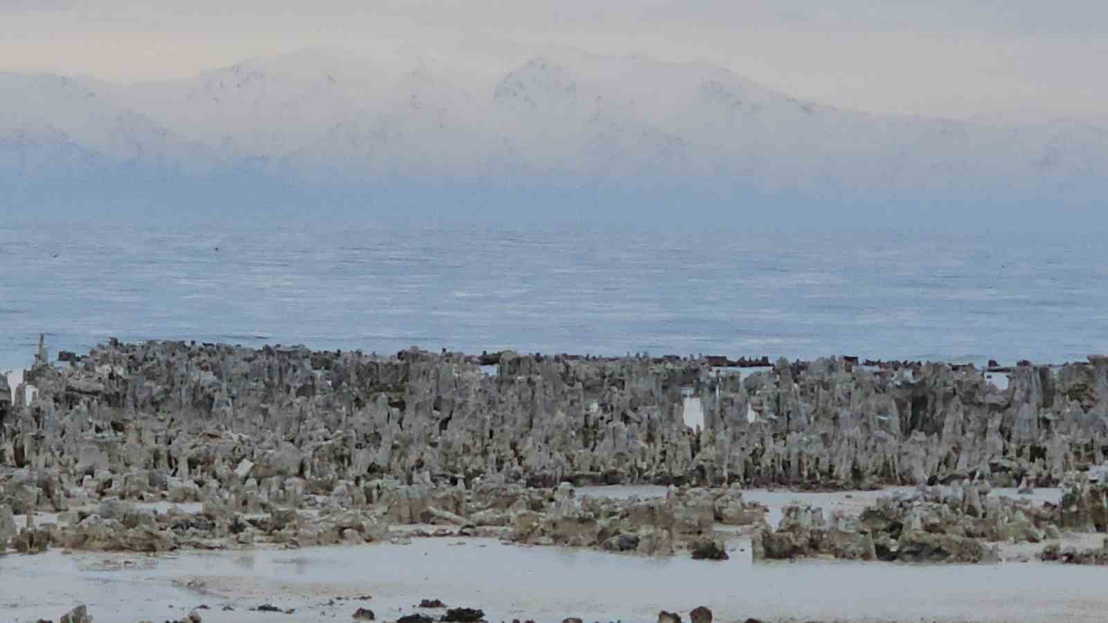 Van Gölü’nde kuraklık alarmı: Adilcevaz sahilinde mikrobiyalitler gün yüzüne çıktı
