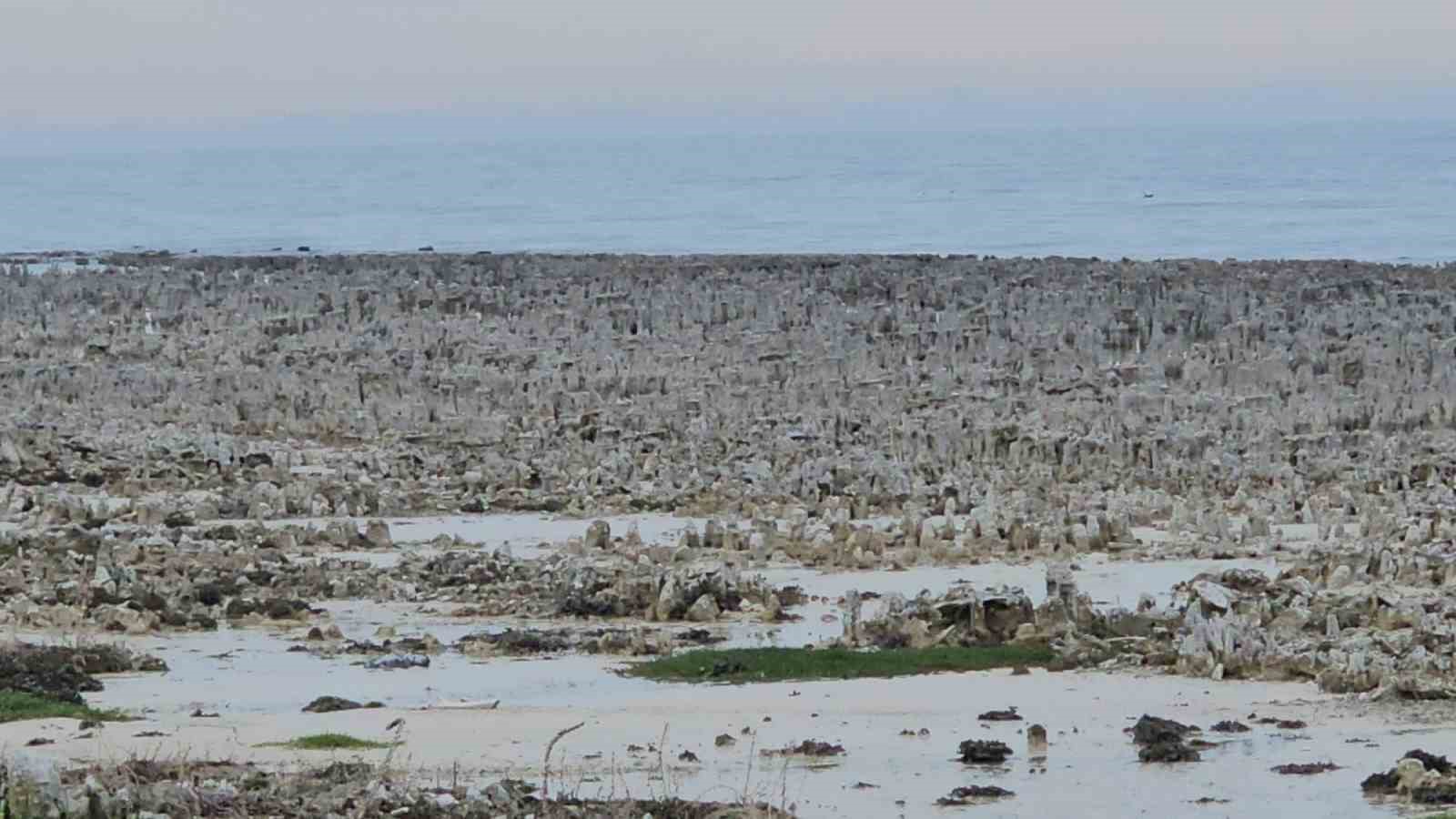 Van Gölü’nde kuraklık alarmı: Adilcevaz sahilinde mikrobiyalitler gün yüzüne çıktı
