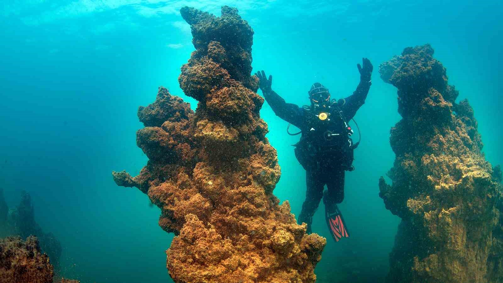 Van Gölü’nün mikrobiyalitleri Guinness için ön elemeyi geçti
