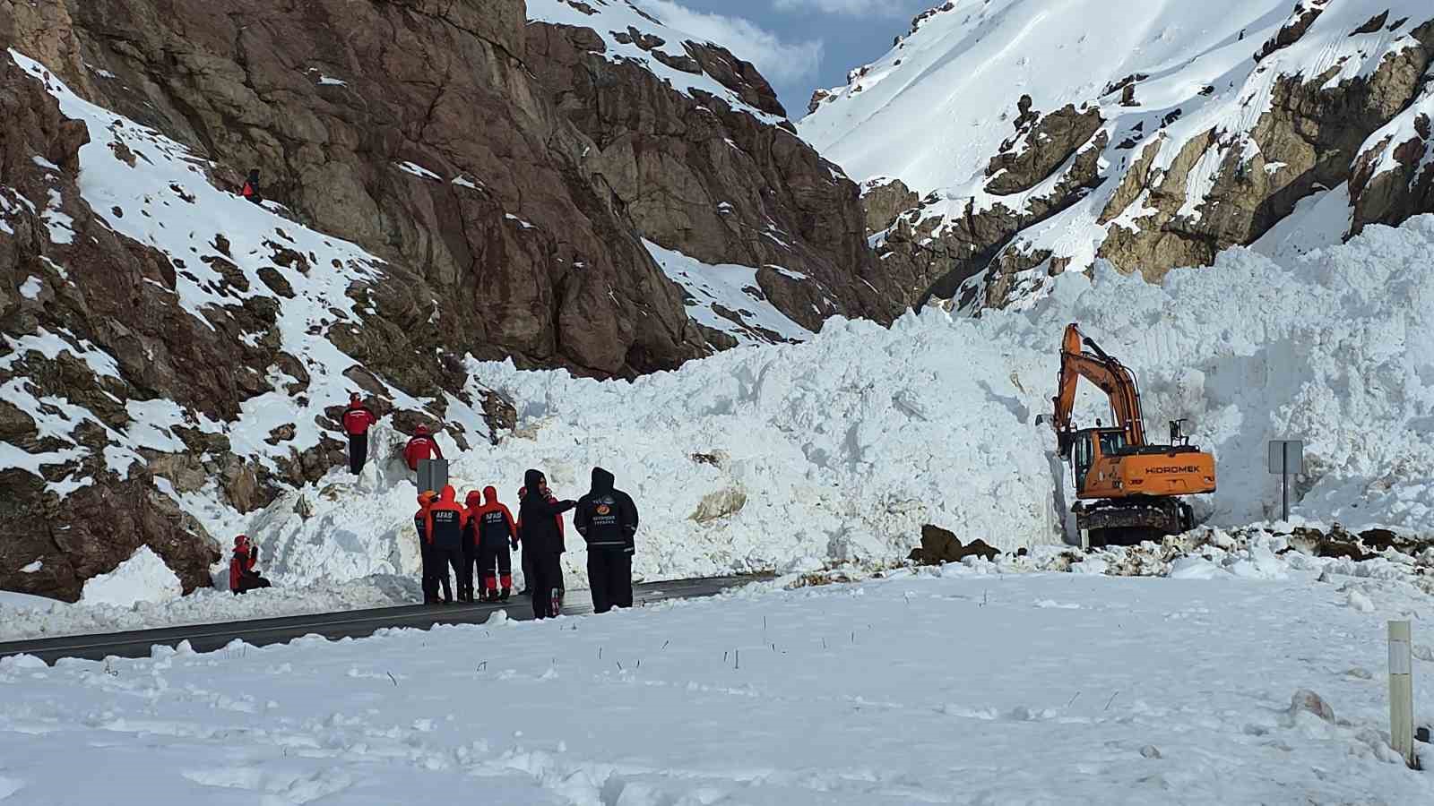 Van-Hakkari kara yolunda çığ sonrası çalışmalar sürüyor

