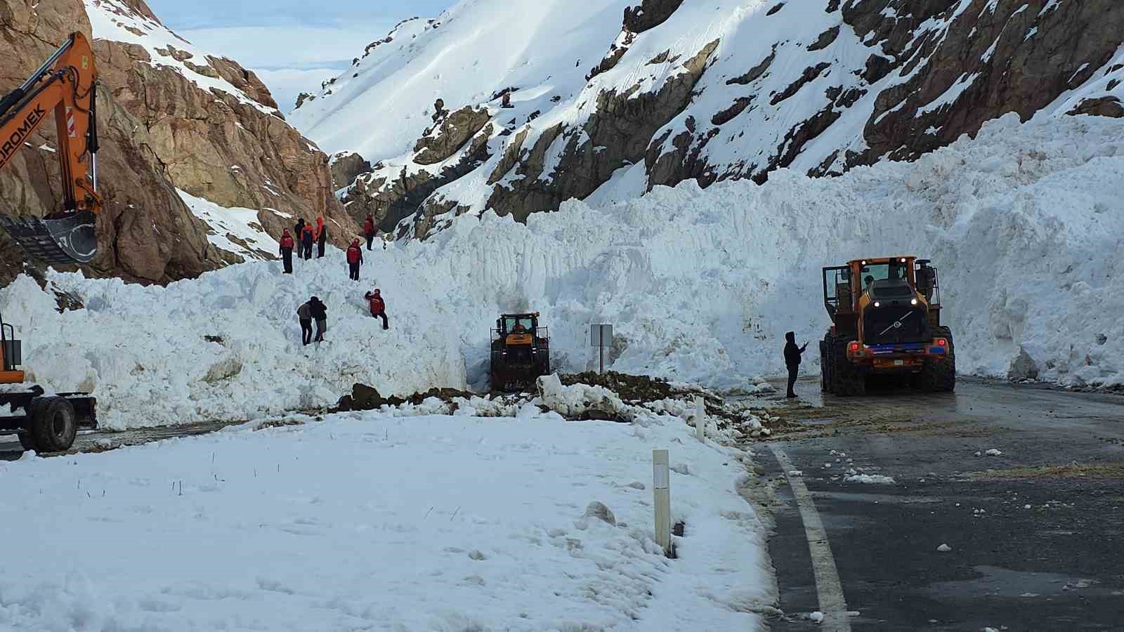 Van-Hakkari kara yolunda çığ sonrası çalışmalar sürüyor
