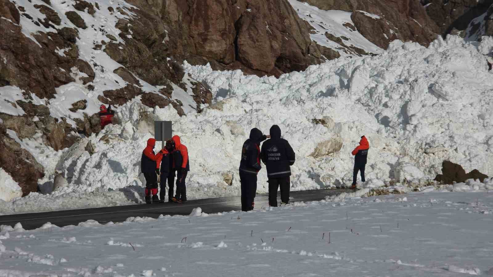 Van-Hakkari kara yolunda çığ sonrası çalışmalar sürüyor
