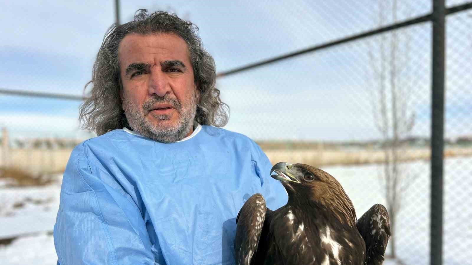 Van YYÜ’de yırtıcı kuşlar şifa bulup doğaya dönüyor
