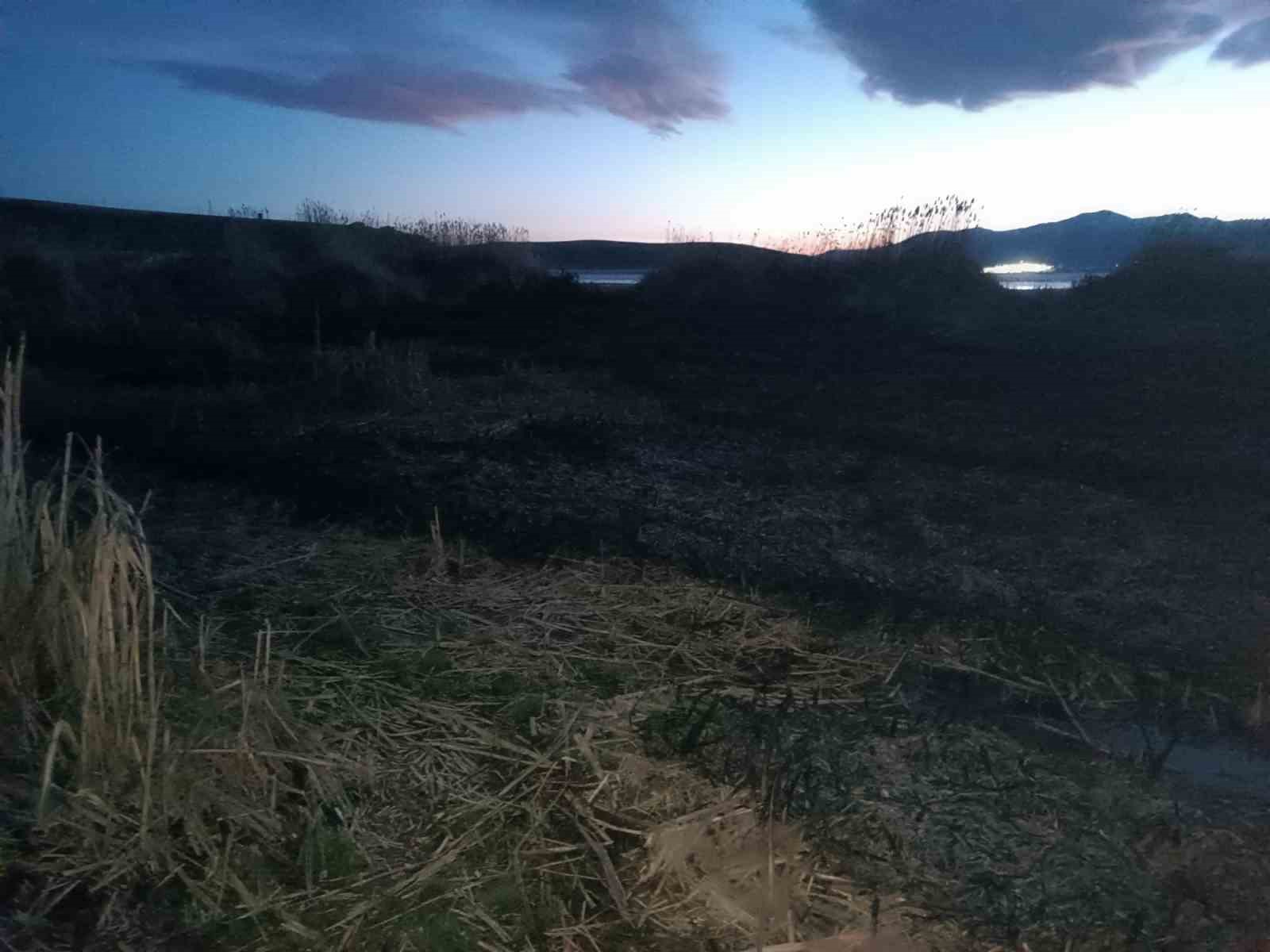 Van’da 2 farklı sazlık alanda yangın çıktı
