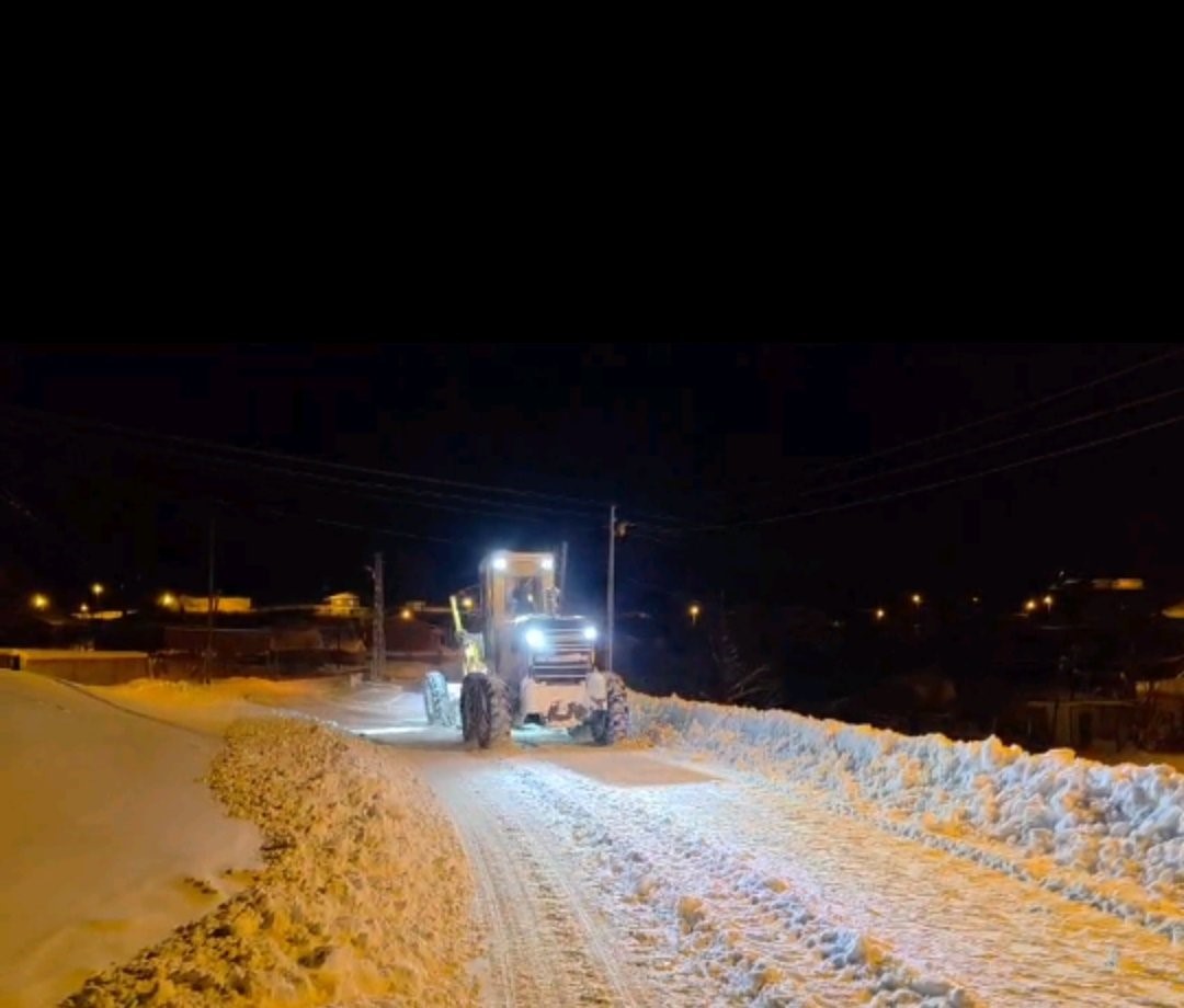 Van’da 341 yerleşim yerinin yolu kapandı
