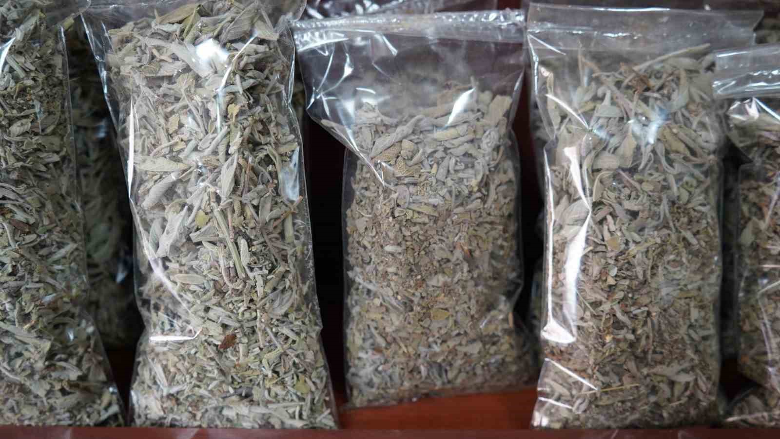 Van’da bahar geçişi aktarlara ilgiyi artırdı
