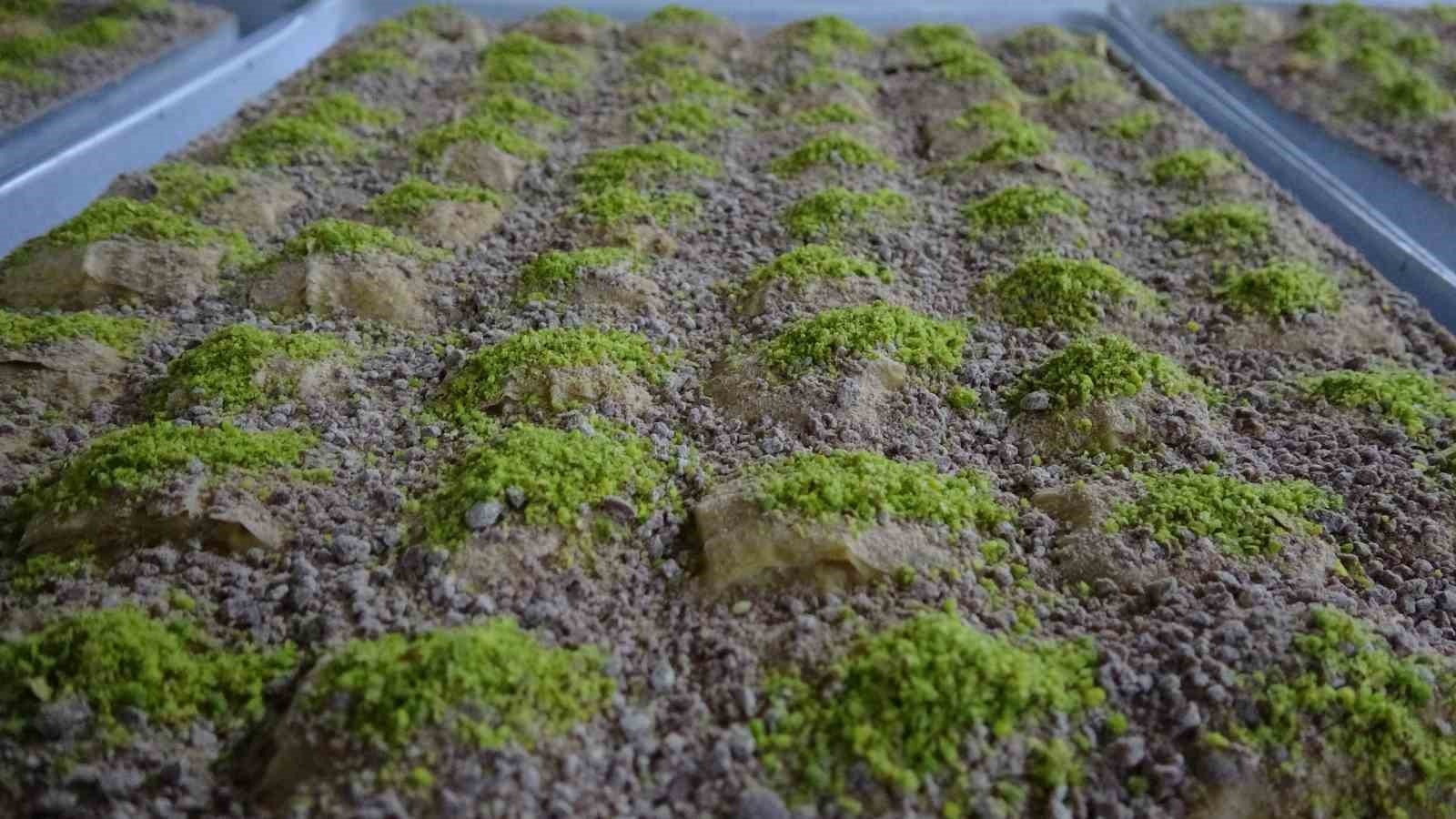 Van’da bayram öncesi ’tatlı telaşı’ başladı
