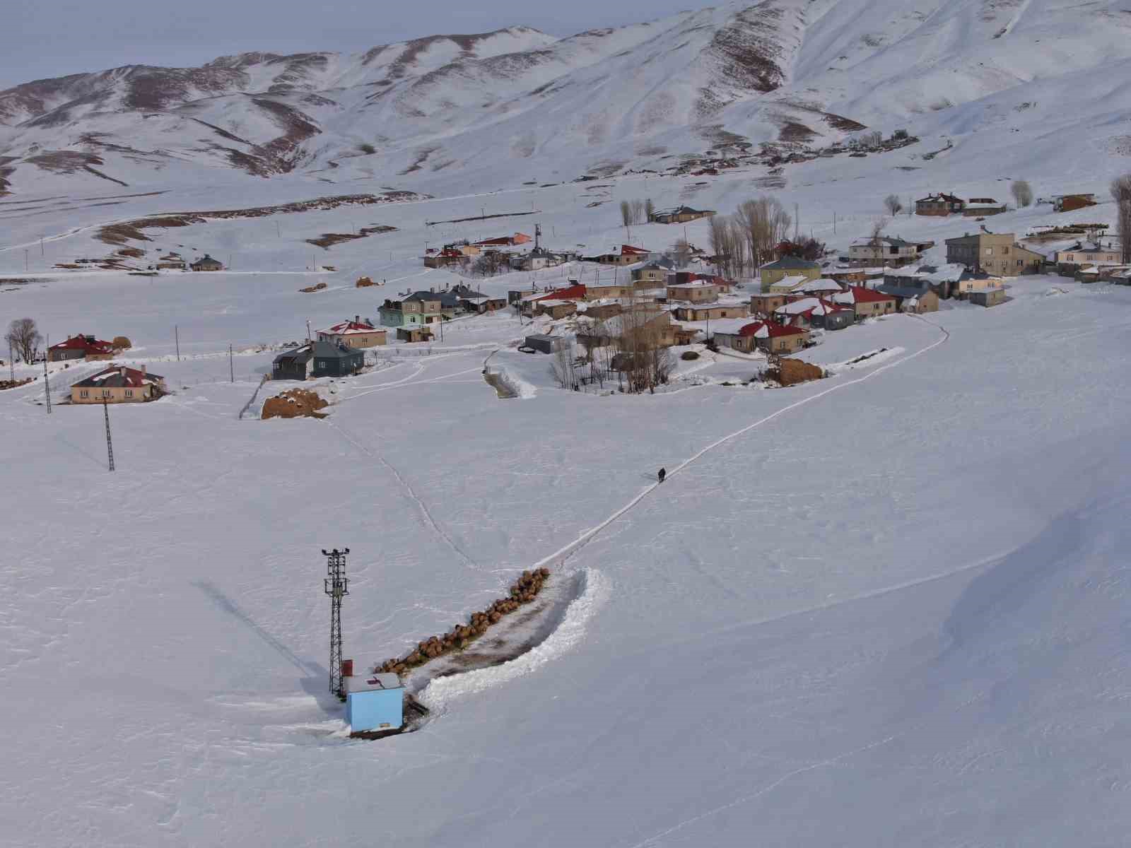 Van’da besicilerin karda zorlu mesaisi sürüyor
