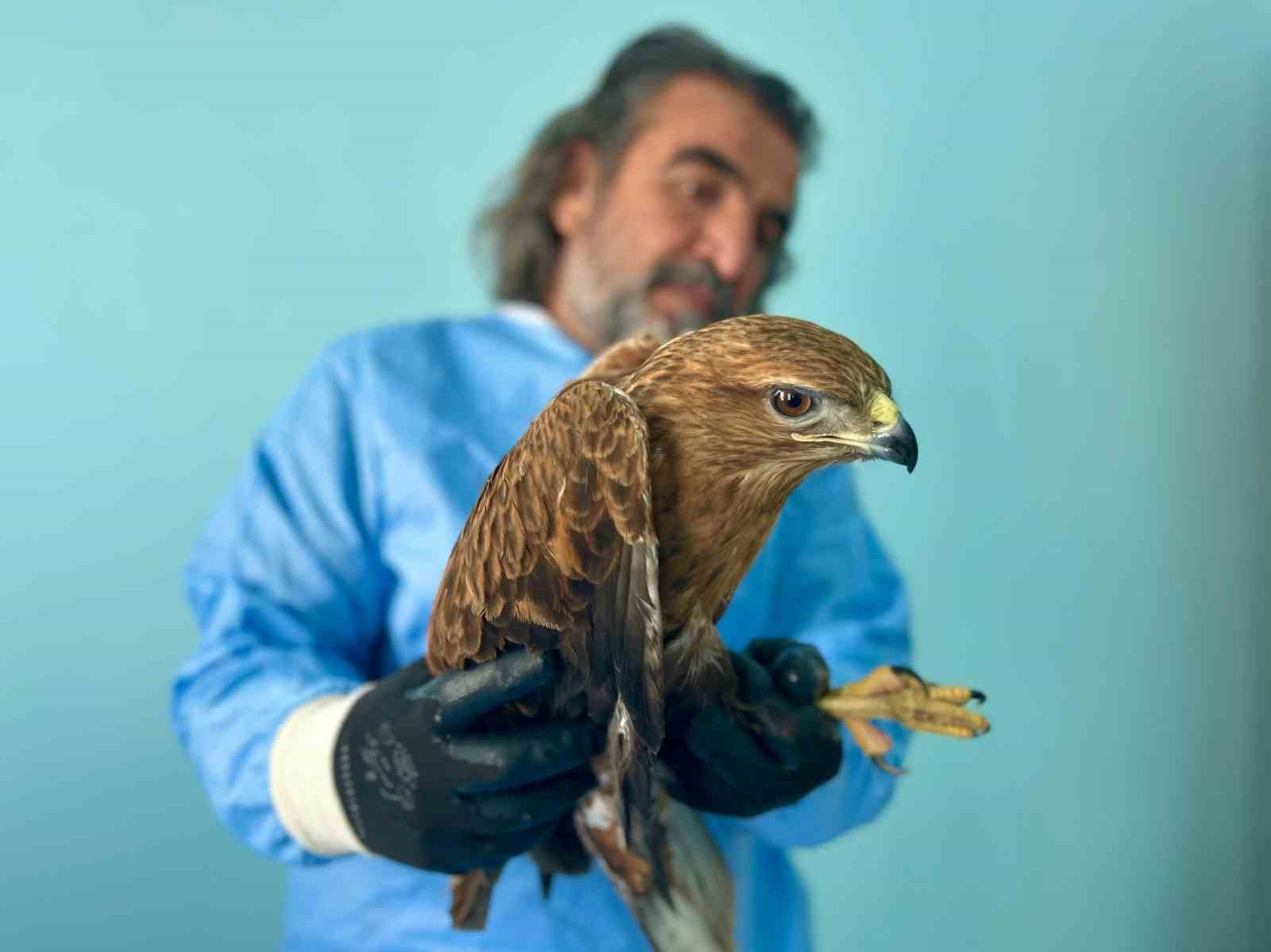 Van’da bitkin düşen yaban hayvanlarına şefkat eli

