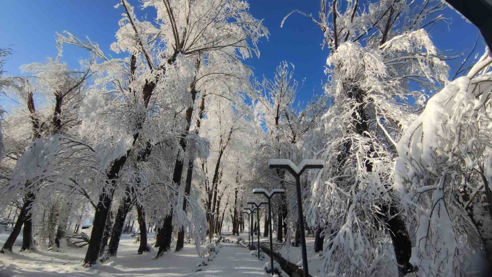 Van’da gece yağan kar kartpostallık manzaralar oluşturdu
