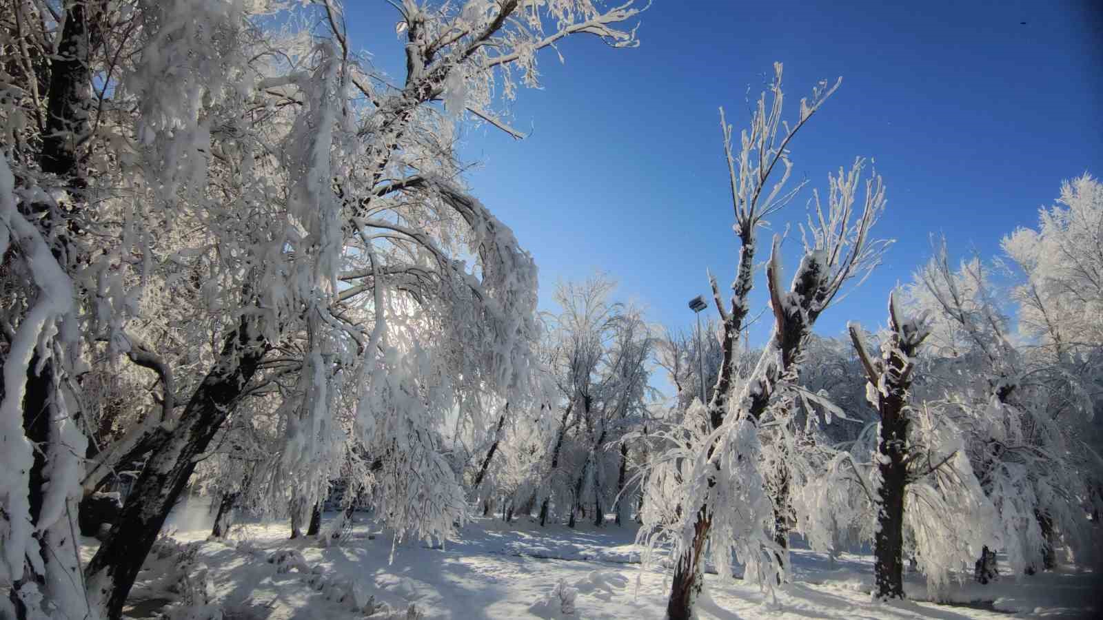 Van’da gece yağan kar kartpostallık manzaralar oluşturdu
