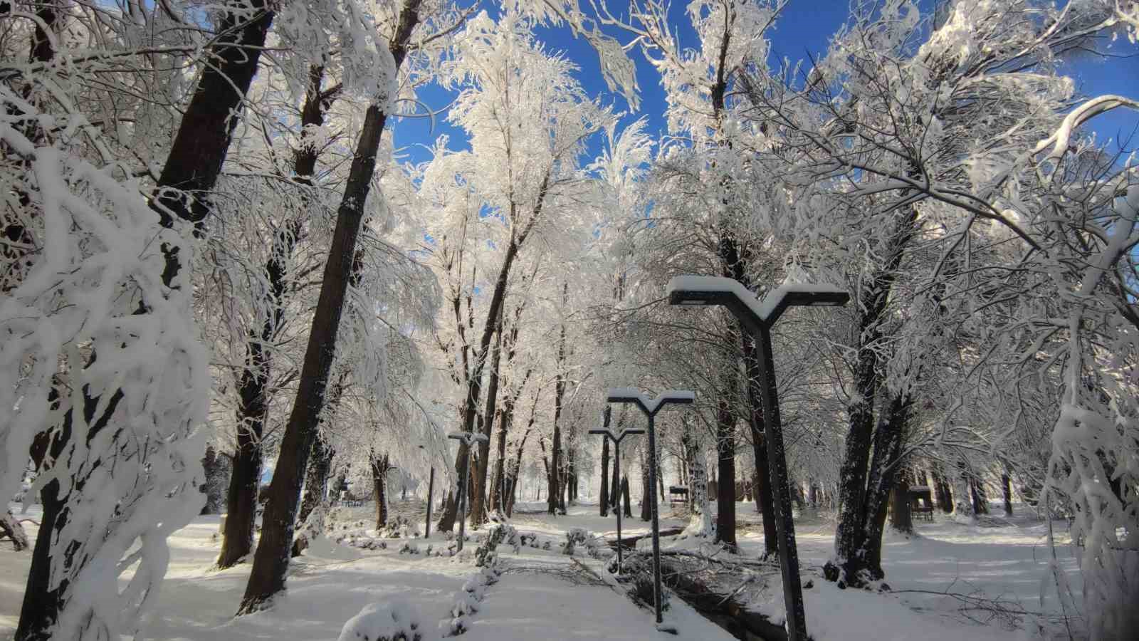 Van’da gece yağan kar kartpostallık manzaralar oluşturdu
