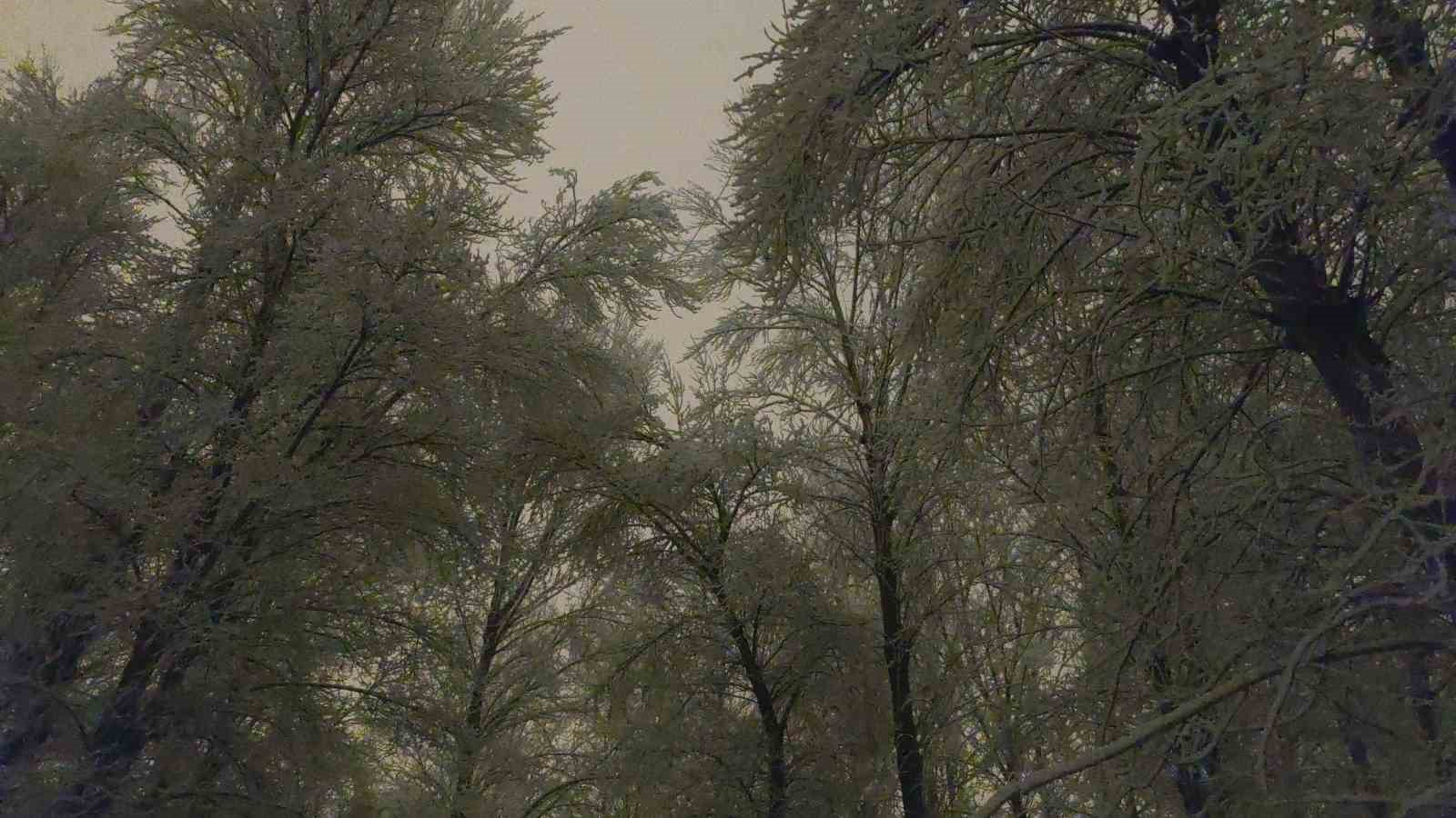 Van’da gece yağan kar kartpostallık manzaralar oluşturdu
