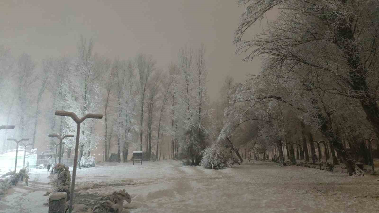 Van’da gece yağan kar kartpostallık manzaralar oluşturdu
