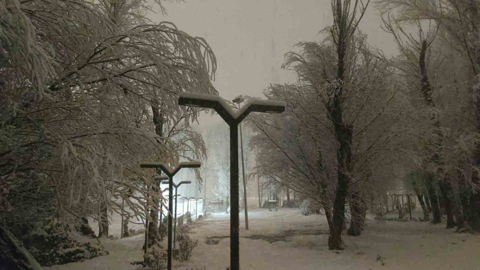 Van’da gece yağan kar kartpostallık manzaralar oluşturdu
