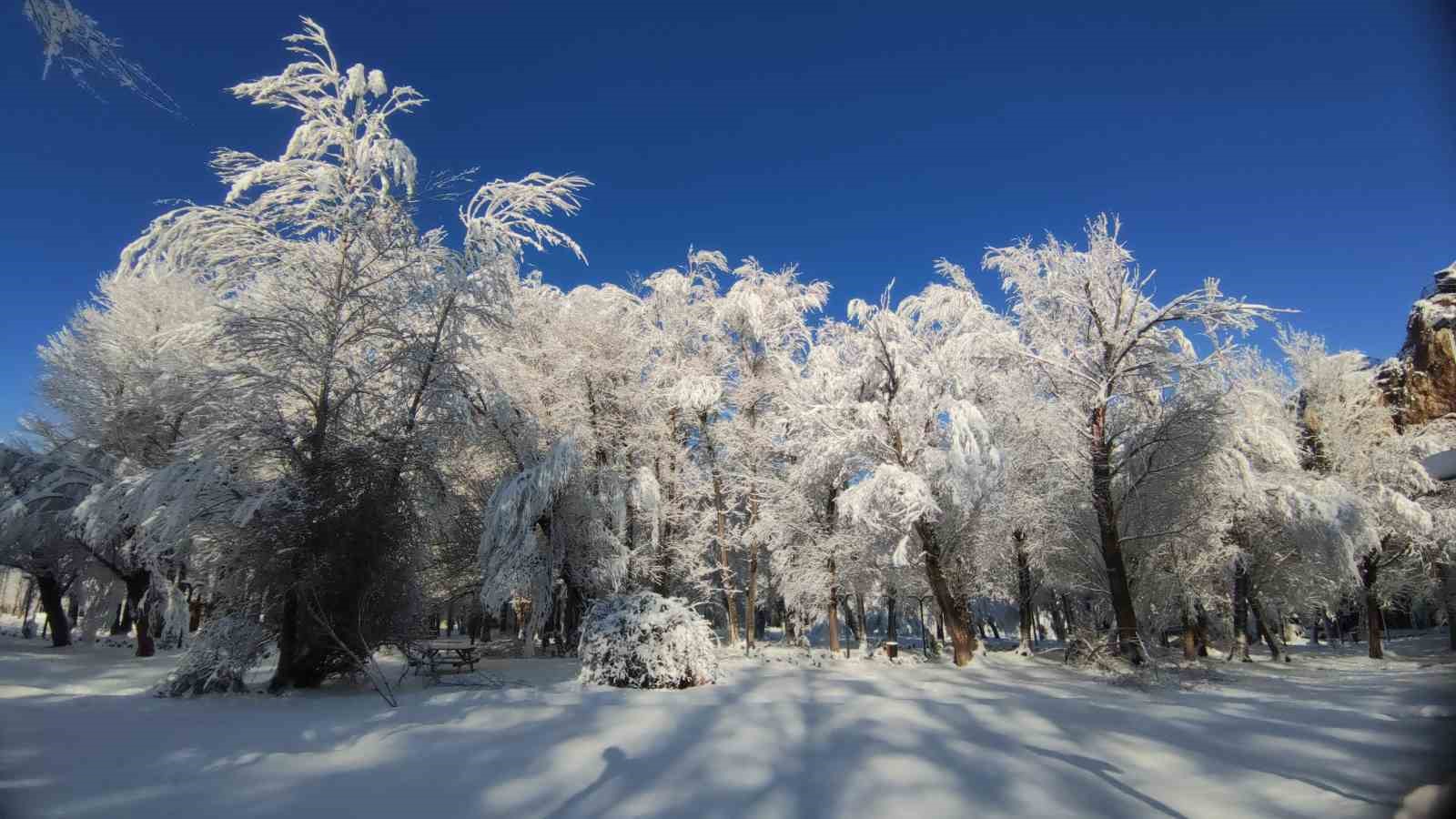 Van’da gece yağan kar kartpostallık manzaralar oluşturdu
