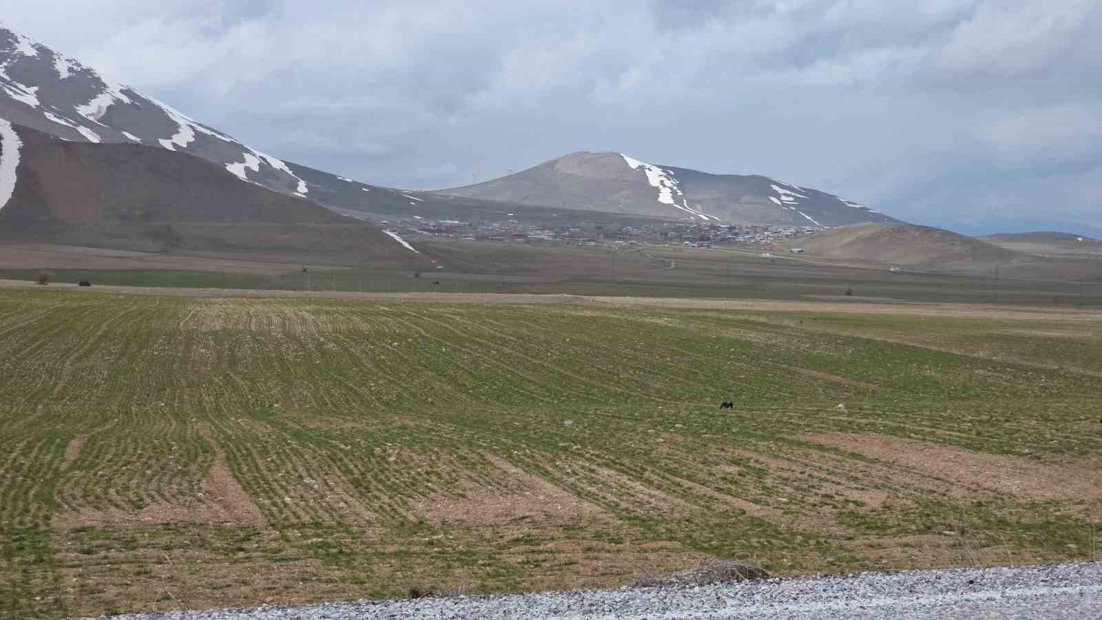 Van’da iki mevsim bir arada
