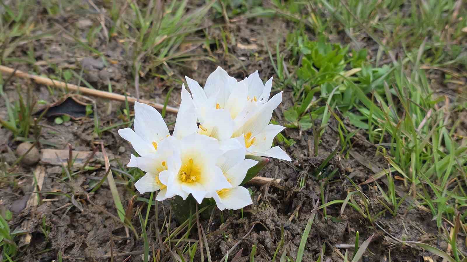 Van’da iki mevsim bir arada
