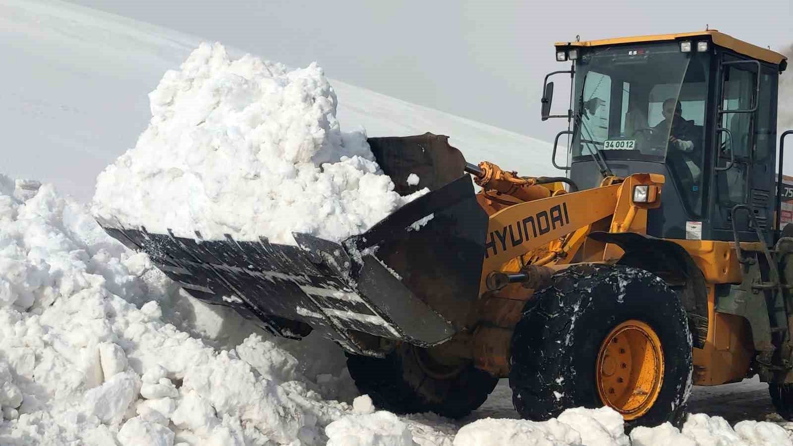 Van’da kar nedeniyle kapanan 67 yerleşim yerinin yolu açılıyor
