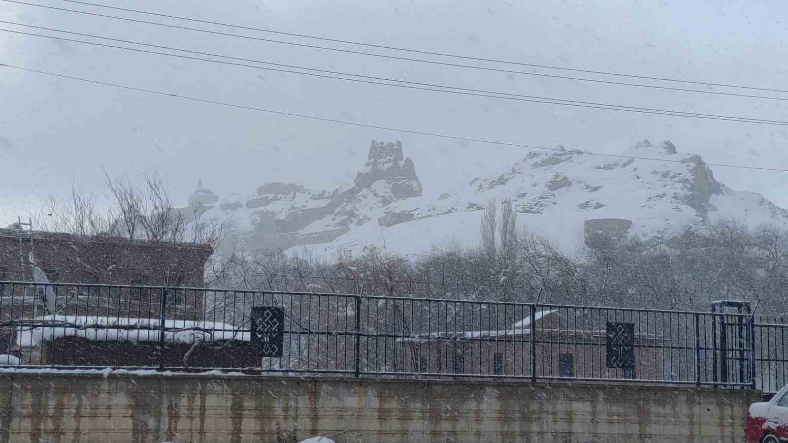 Van’da kardan dolayı kapanan 390 yoldan 230’u açıldı

