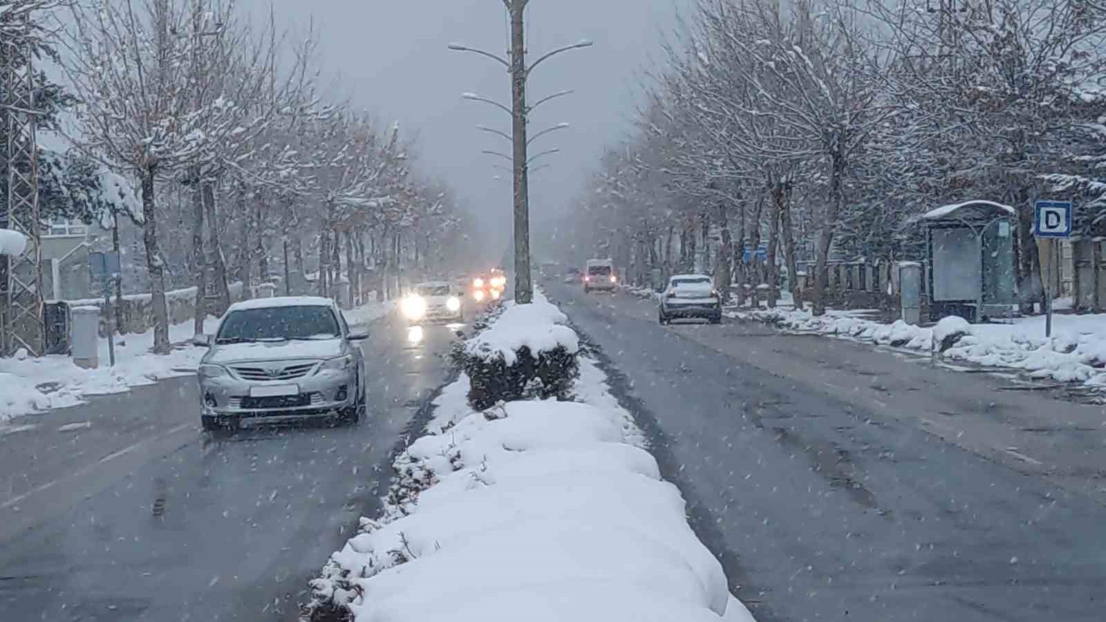 Van’da kardan dolayı kapanan 390 yoldan 230’u açıldı
