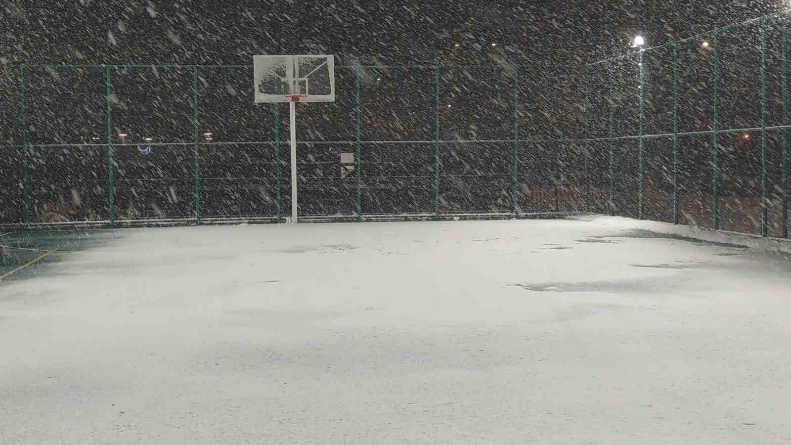 Van’da kardan dolayı kapanan 390 yoldan 230’u açıldı
