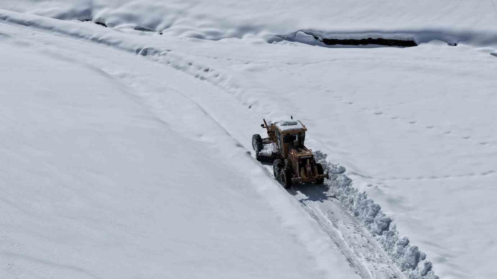 Van’da kardan dolayı kapanan 390 yoldan 355’i açıldı
