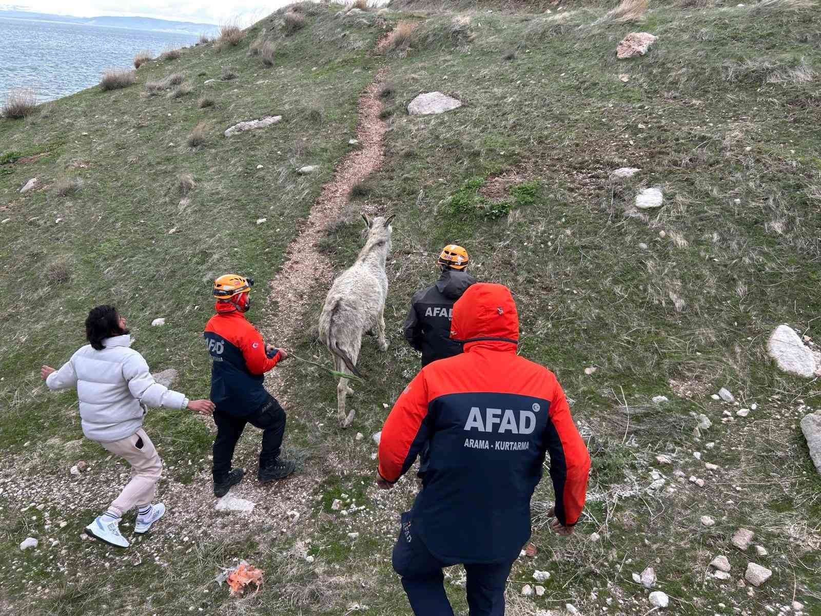 Van’da kayalıklarda mahsur kalan eşek kurtarıldı
