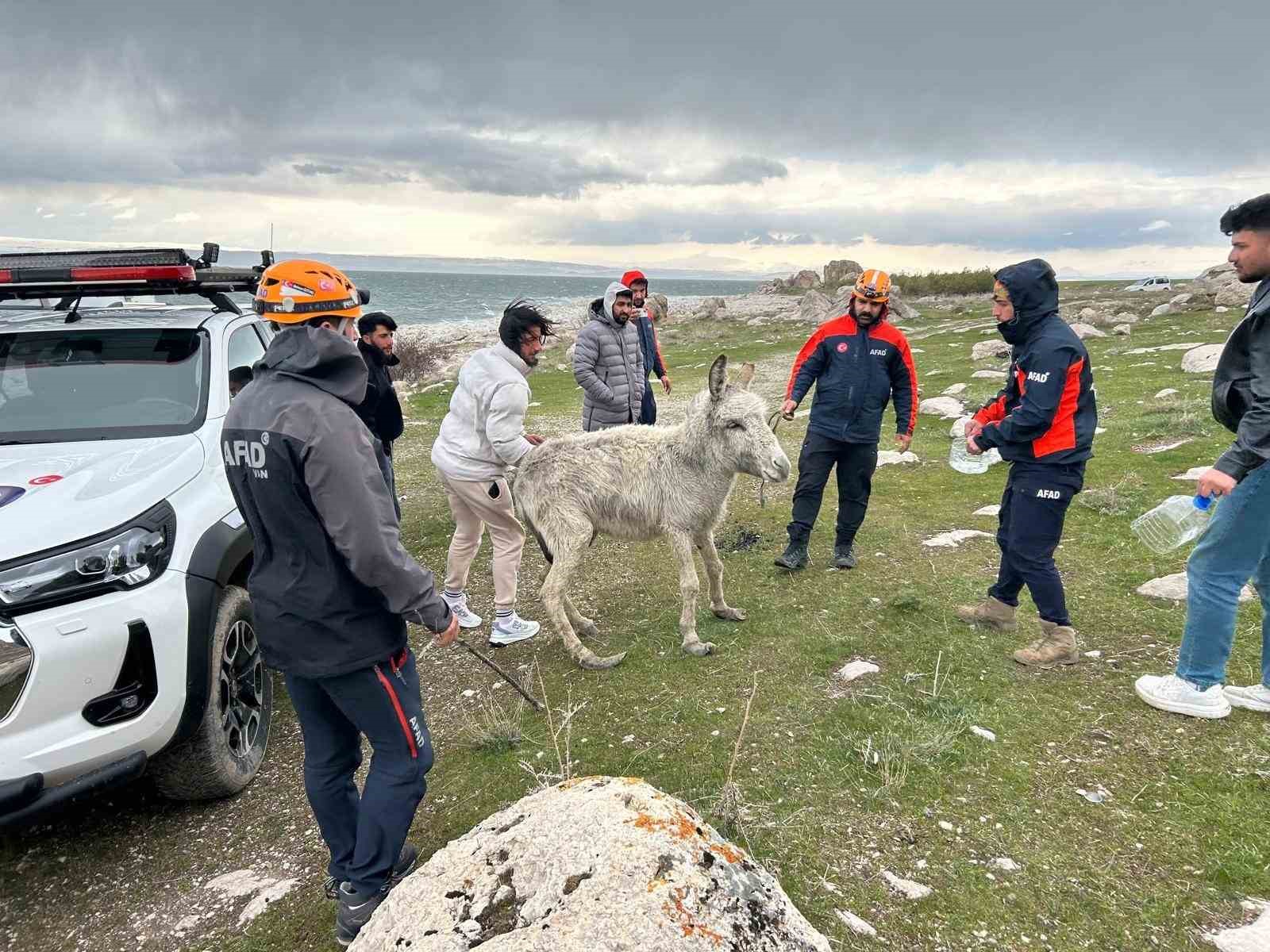 Van’da kayalıklarda mahsur kalan eşek kurtarıldı
