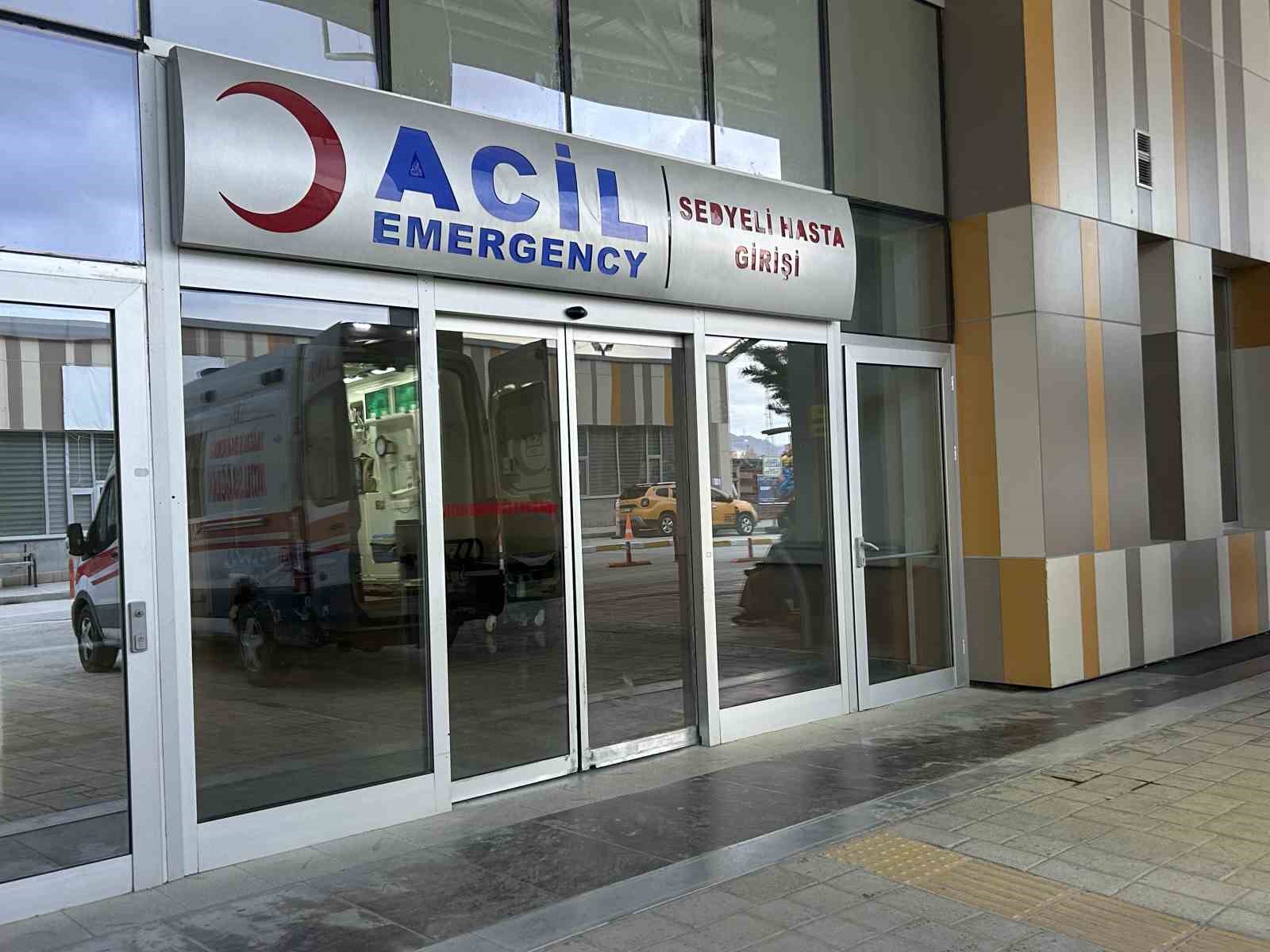 Van’da köpeklerin saldırdığı 5 yaşındaki çocuk hayatını kaybetti
