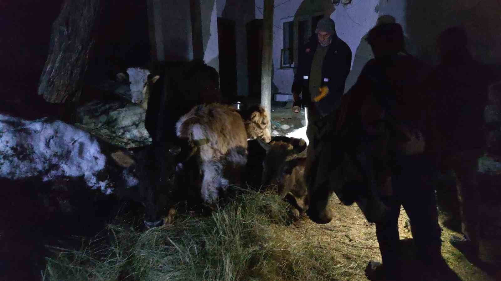 Van’da korkutan ahır yangını: 3 inek son anda kurtarıldı
