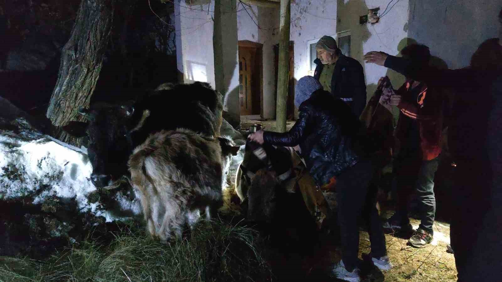 Van’da korkutan ahır yangını: 3 inek son anda kurtarıldı
