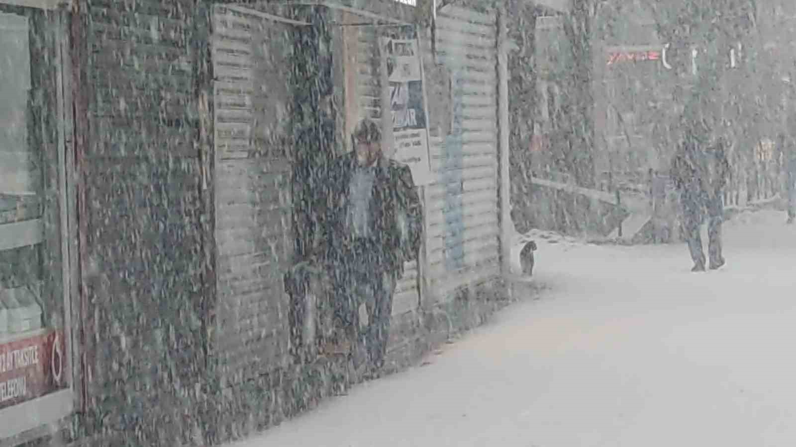 Van’da lapa lapa kar yağdı: 405 yerleşim yerinin yolu kapalı
