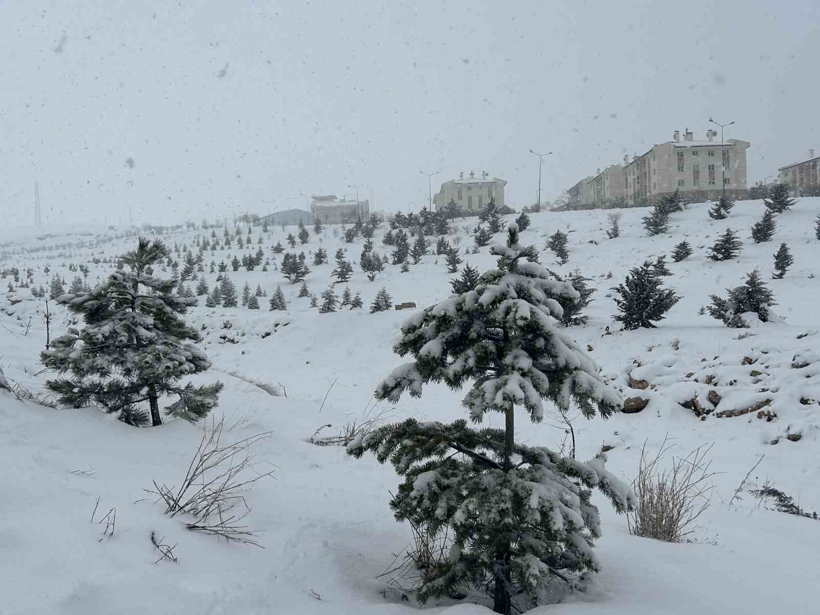 Van’da mart ayı kapıdan baktırdı: Kar yağışı ulaşımı durdurdu
