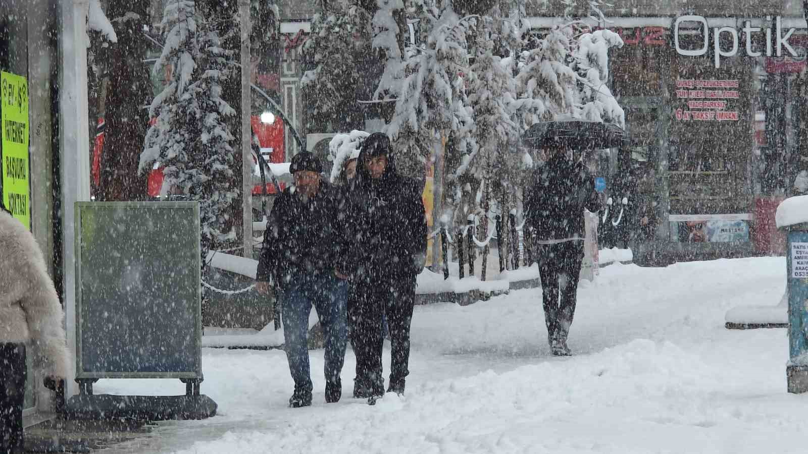 Van’da Mart sürprizi: Bahar beklerken kar kapıya dayandı
