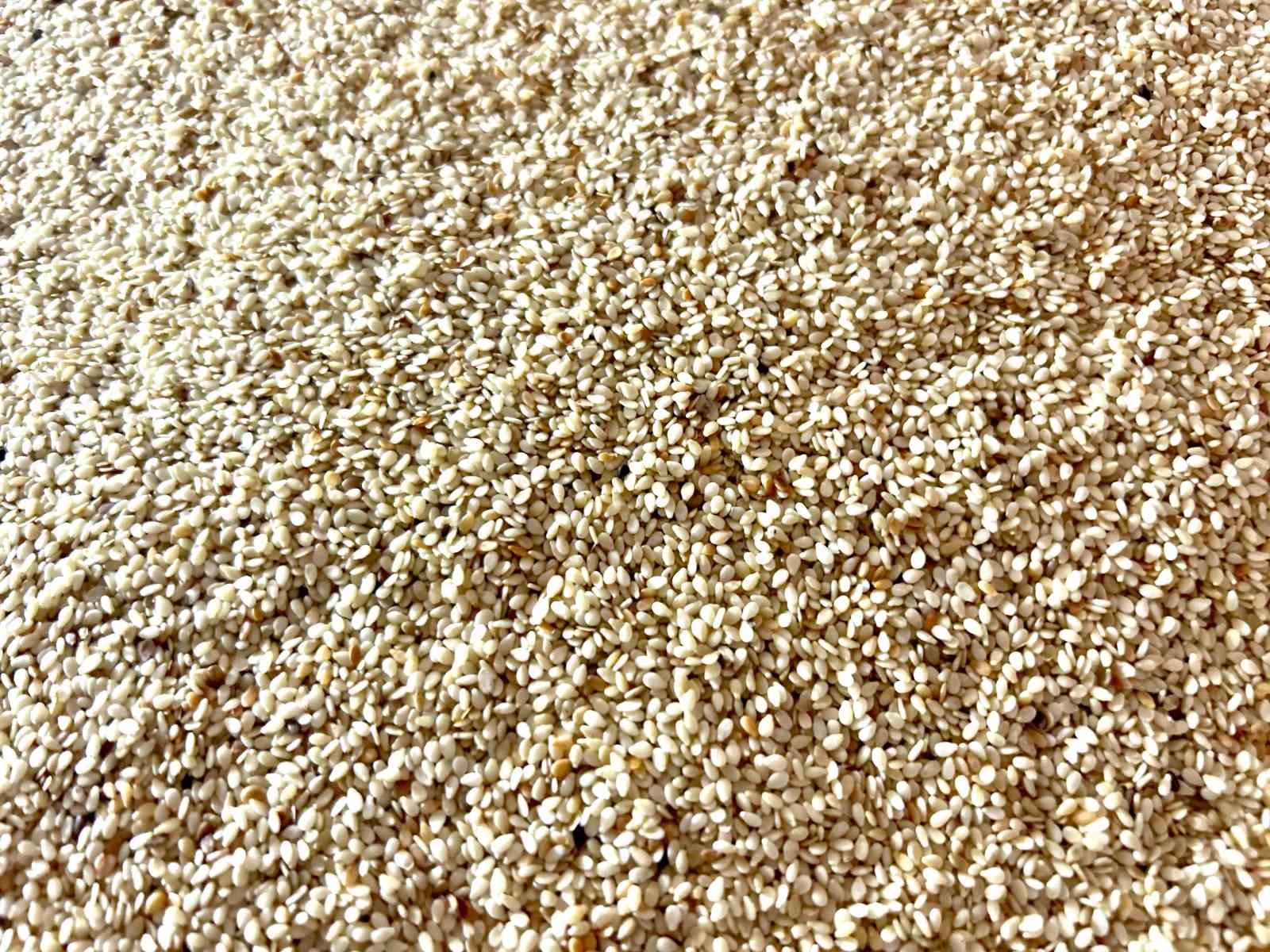 Van’da Ramazan öncesi tahin üretimi zirve yaptı
