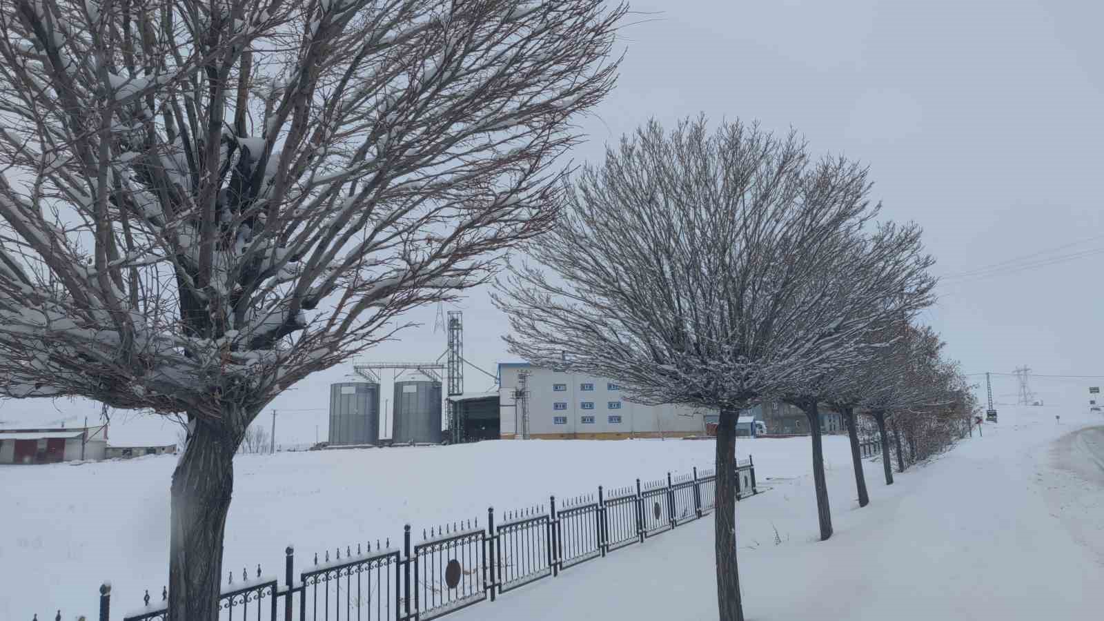Van’da Sibirya soğukları hayatı olumsuz etkiliyor
