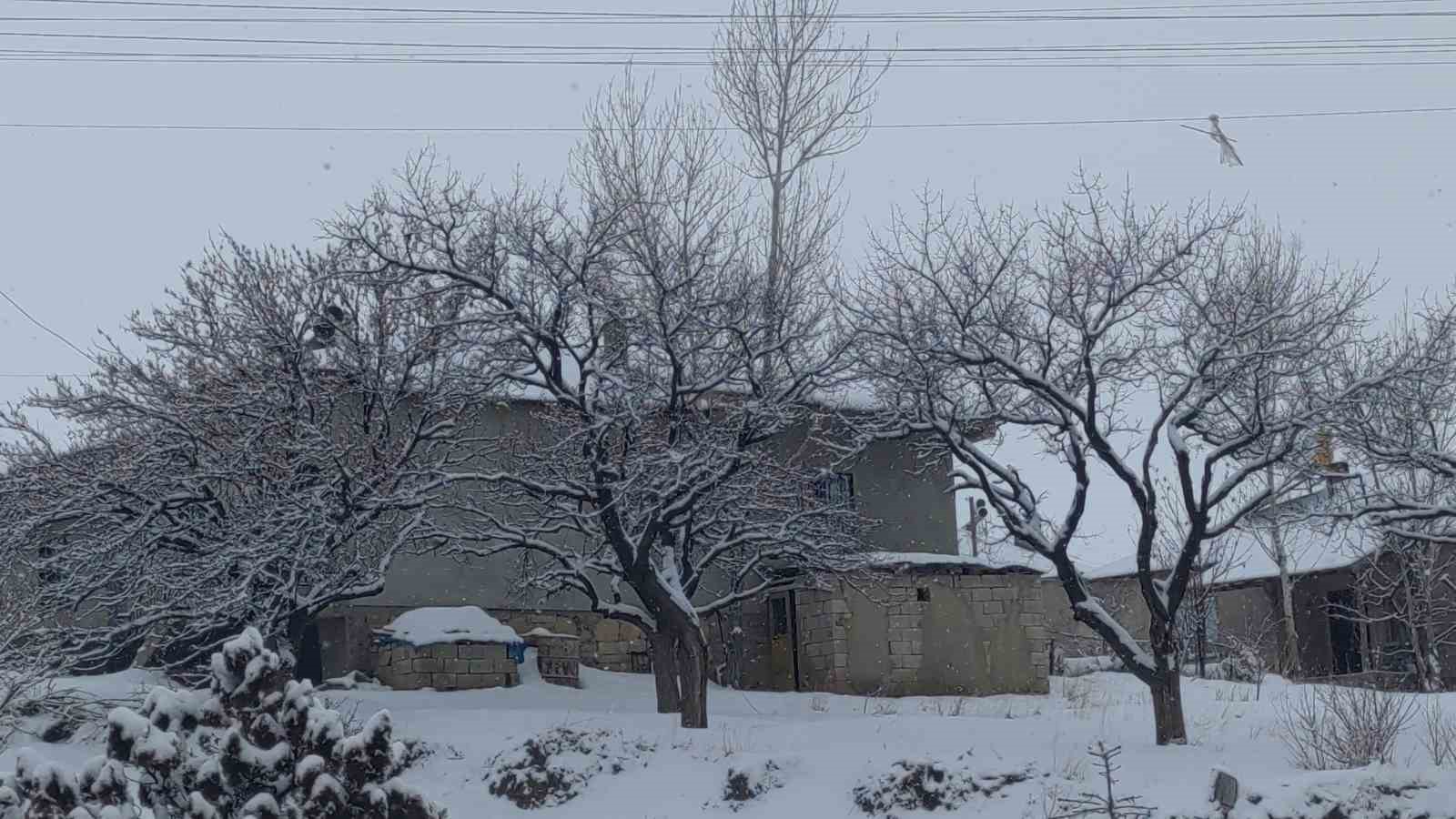 Van’da Sibirya soğukları hayatı olumsuz etkiliyor
