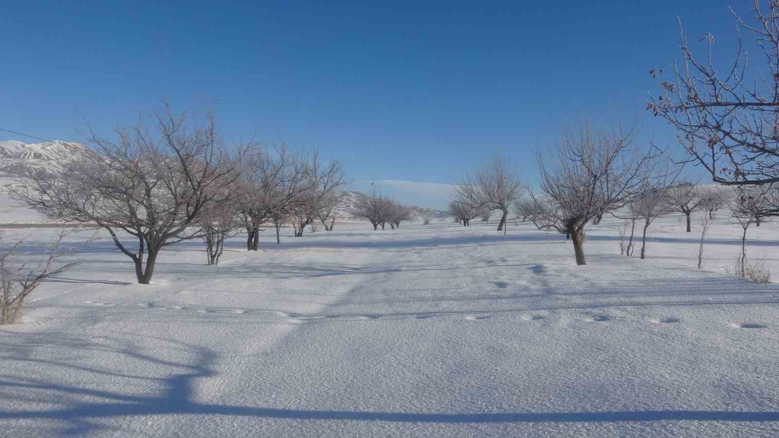 Van’da Sibirya soğukları hayatı olumsuz etkiliyor
