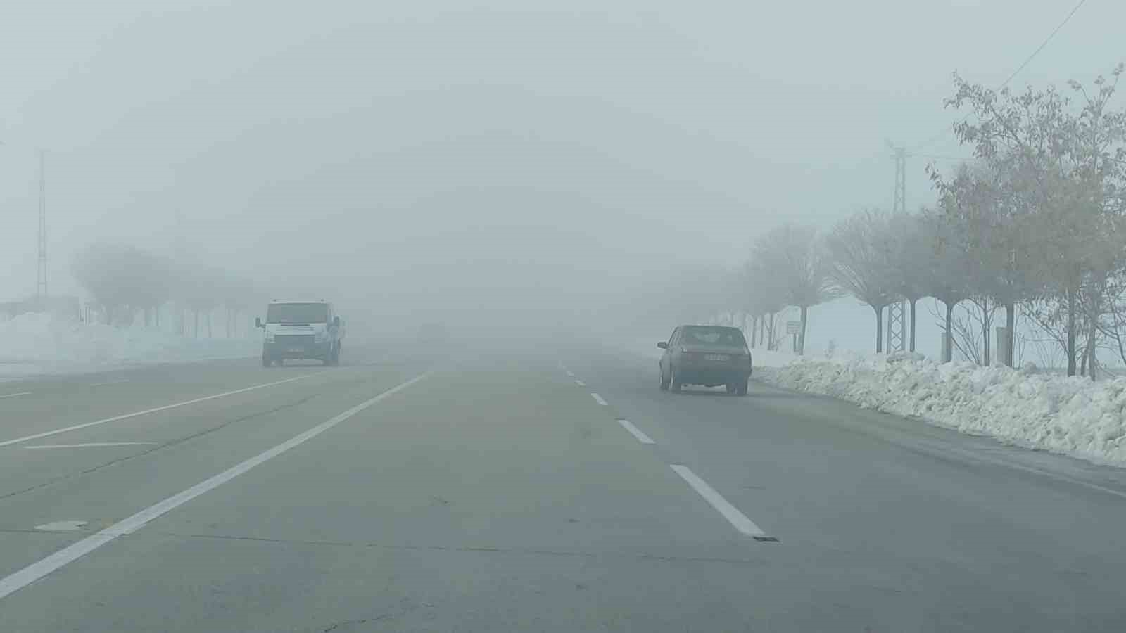 Van’da sis ulaşımı olumsuz etkiledi
