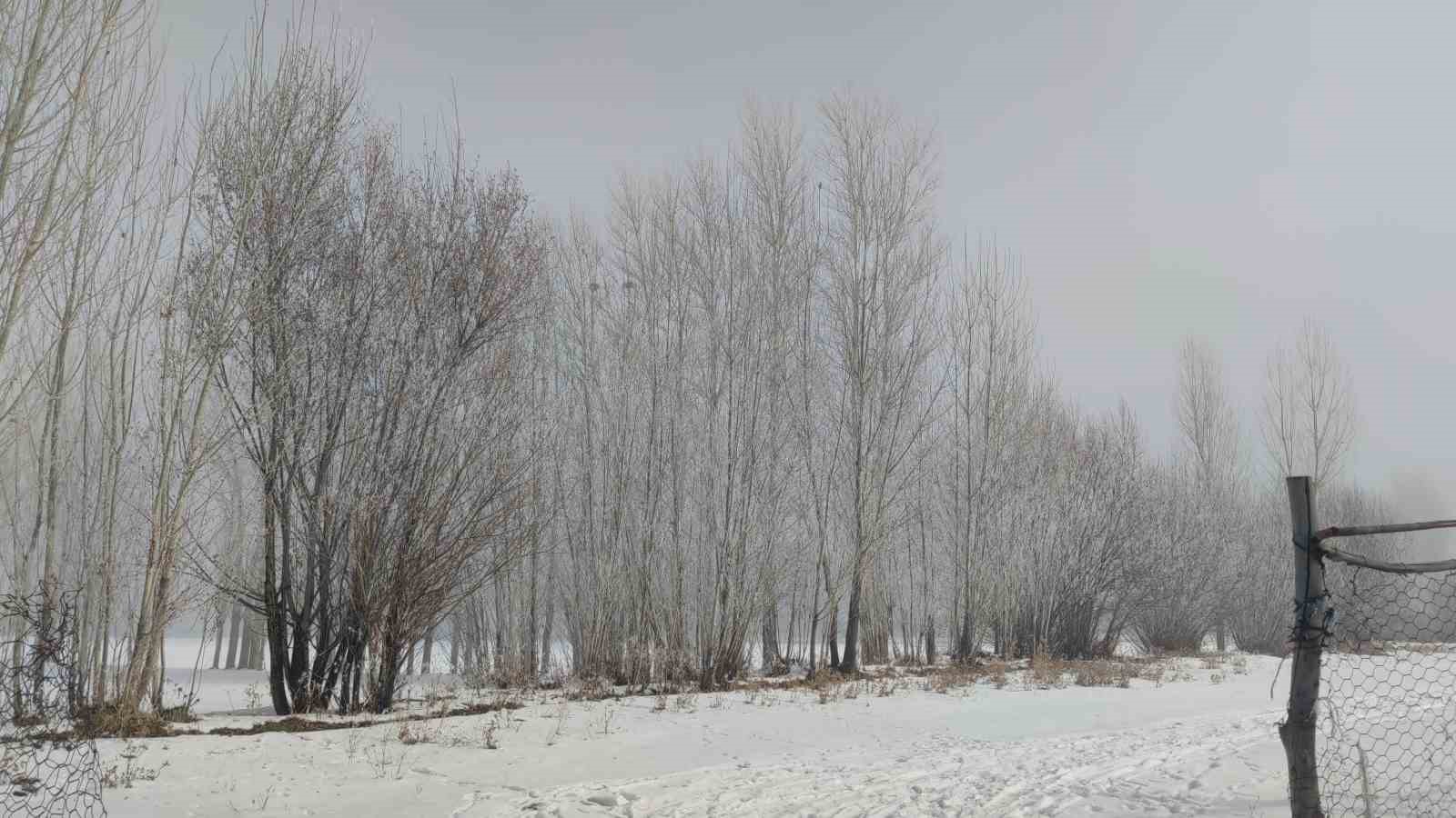 Van’da sis ulaşımı olumsuz etkiledi
